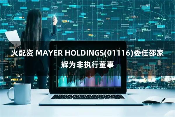 火配资 MAYER HOLDINGS(01116)委任邵家辉为非执行董事