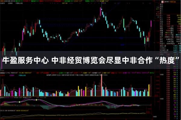 牛盈服务中心 中非经贸博览会尽显中非合作“热度”