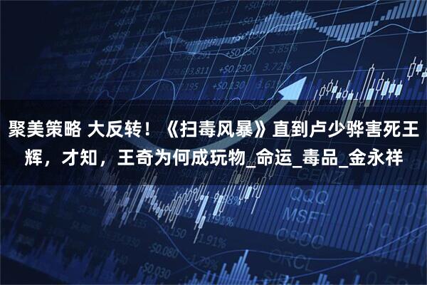 聚美策略 大反转！《扫毒风暴》直到卢少骅害死王辉，才知，王奇为何成玩物_命运_毒品_金永祥