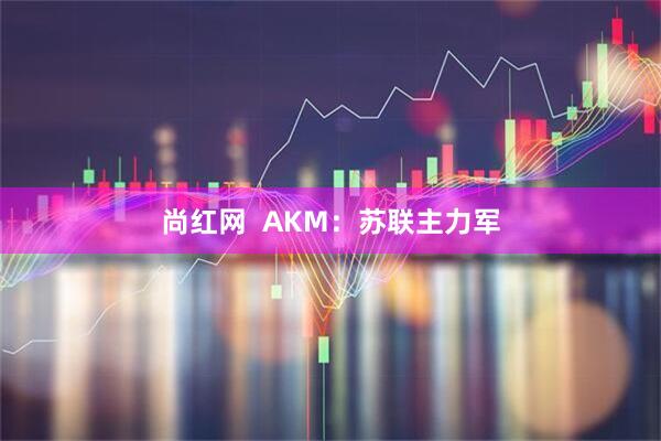 尚红网  AKM：苏联主力军